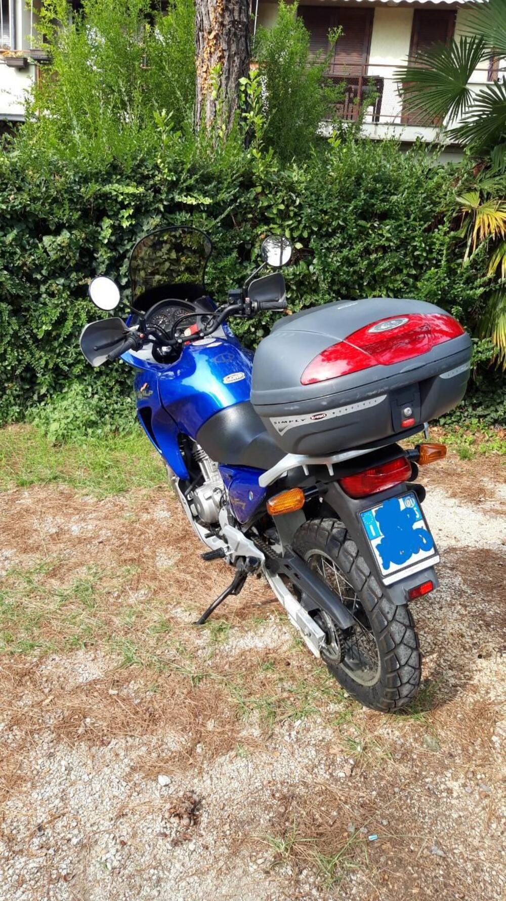 Honda Transalp XL 650V (2000 - 04) (7)