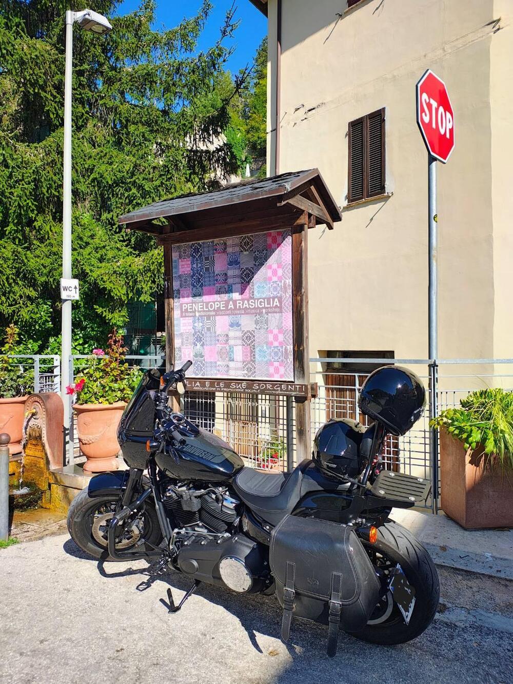 Harley-Davidson 114 Fat Bob (2018 - 20) - FXFBS (9)