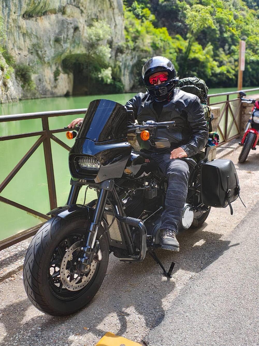 Harley-Davidson 114 Fat Bob (2018 - 20) - FXFBS (8)