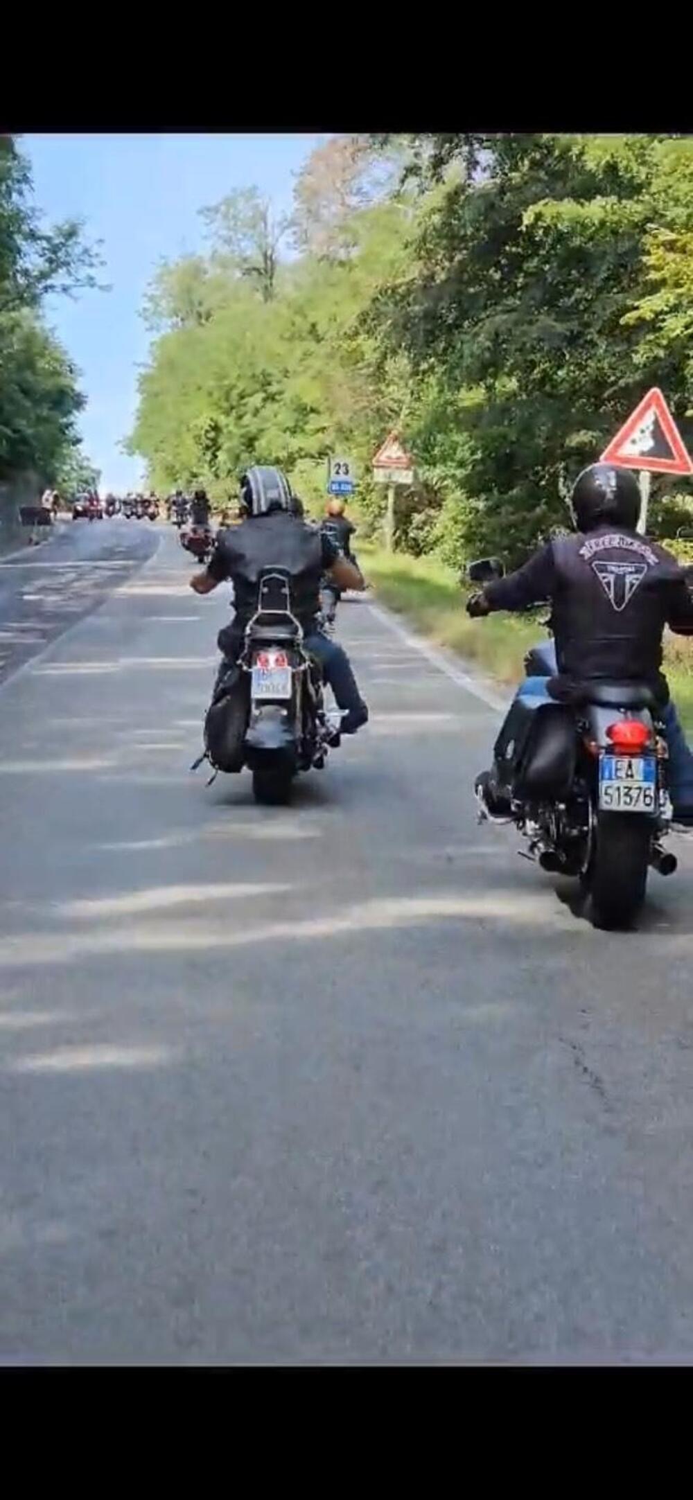 Suzuki VL 800 Intruder Volusia (2000 - 04) (6)