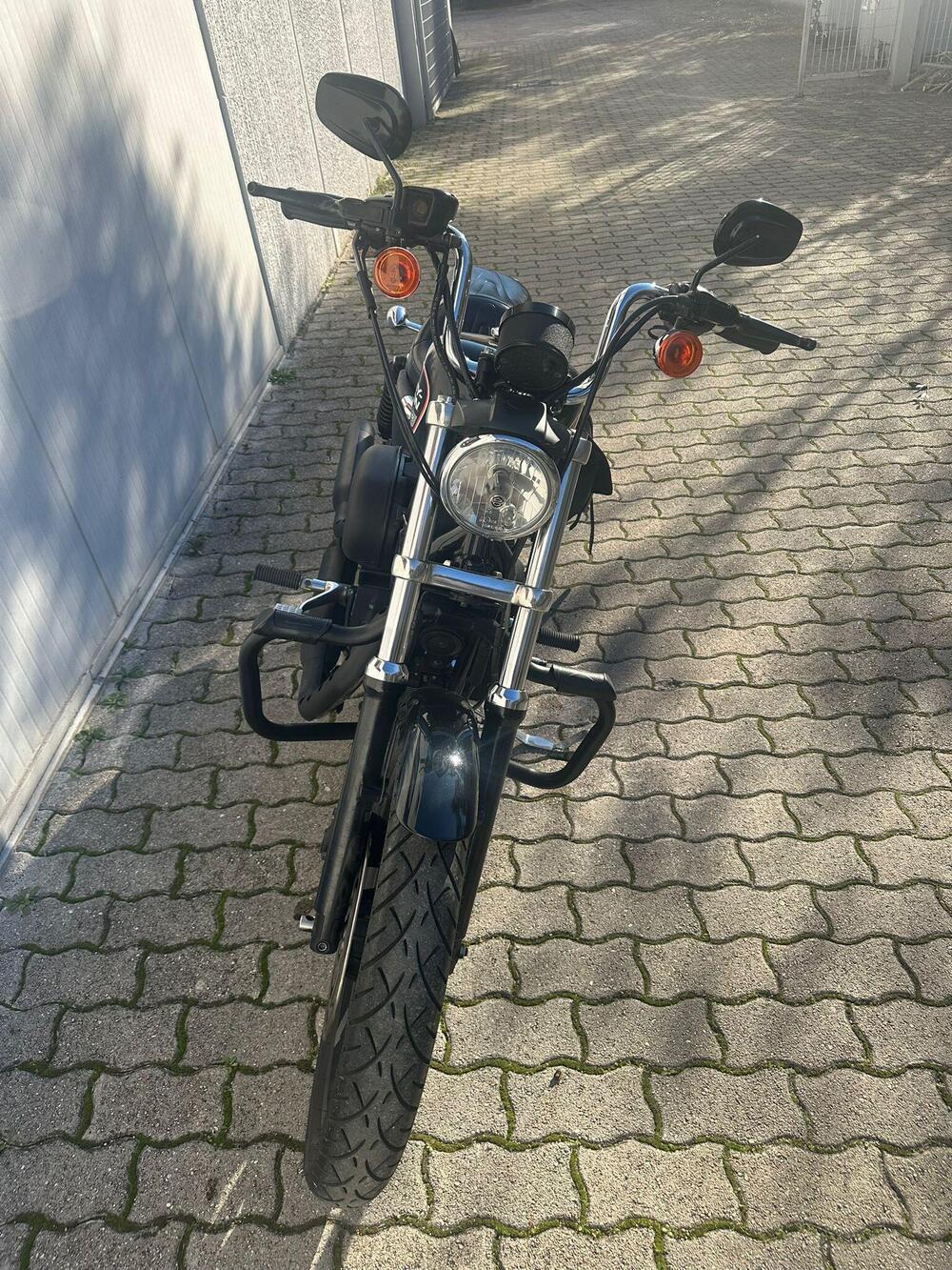 Harley-Davidson 883 R (2006 - 07) - XL 883R (10)