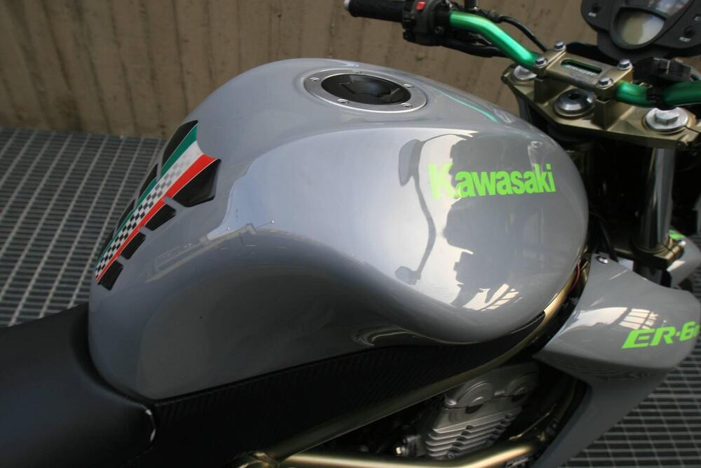 Kawasaki ER-6N (2005 - 08) (3)
