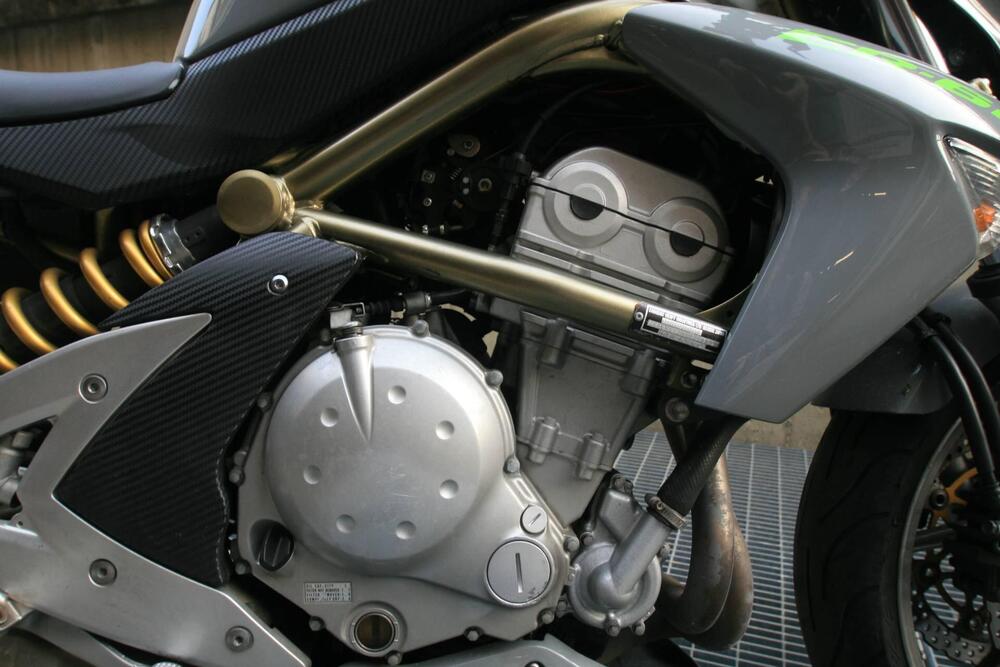 Kawasaki ER-6N (2005 - 08) (4)