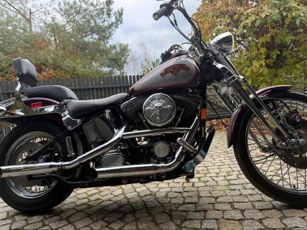 Harley-Davidson 1340 Springer (1990 - 98) - FXSTS (2)