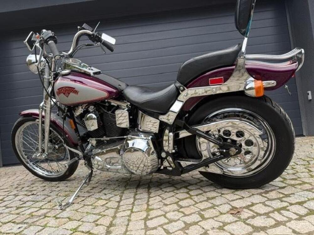 Harley-Davidson 1340 Springer (1990 - 98) - FXSTS (3)