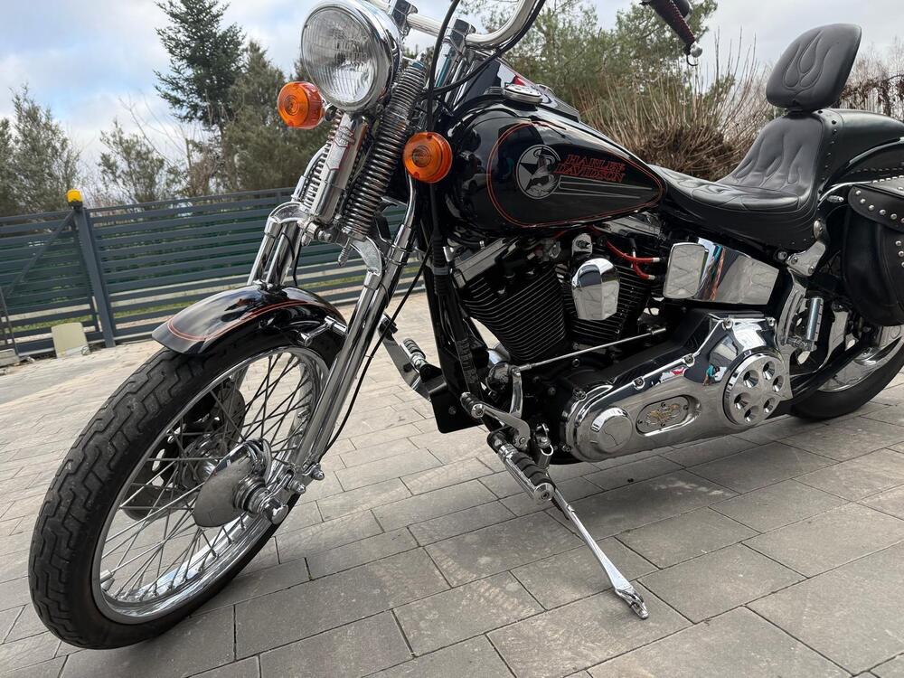 Harley-Davidson 1340 Springer (1990 - 98) - FXSTS (3)