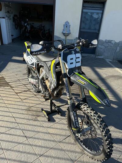 Triumph TF 250-X (2024 - 25) usata