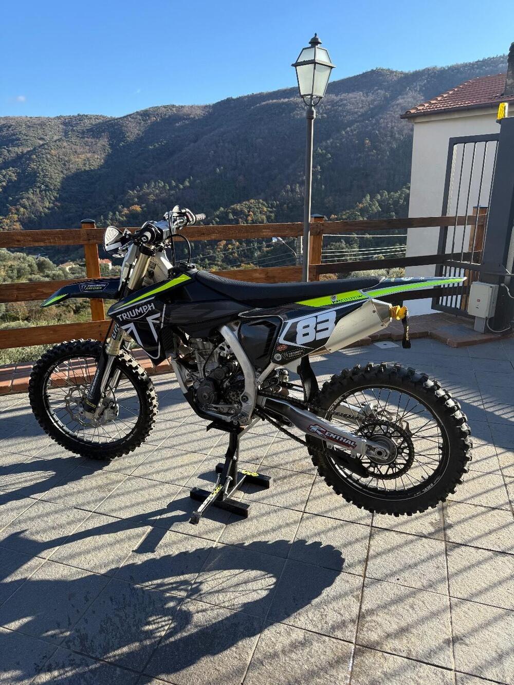 Triumph TF 250-X (2024 - 25) (3)