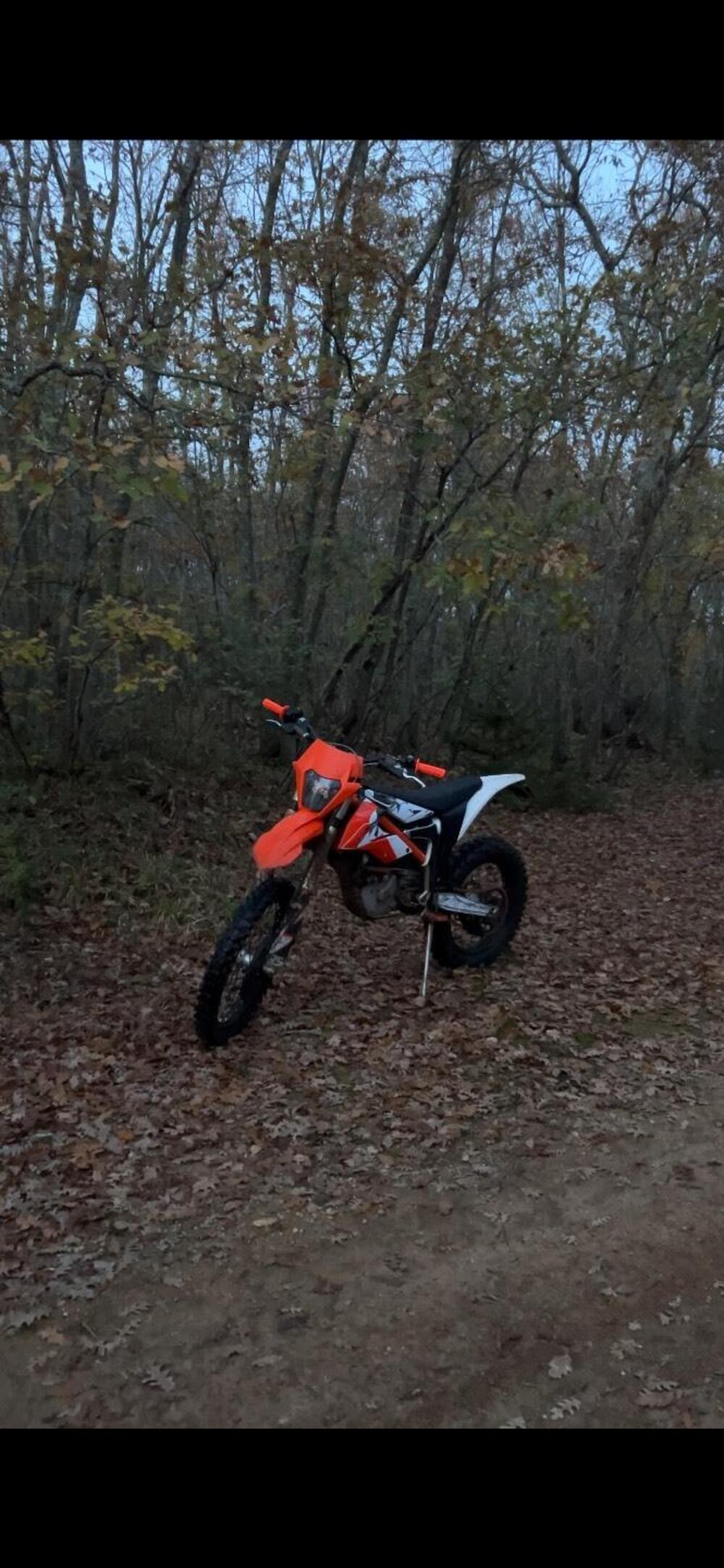 KTM Freeride E-XC (2021) (4)
