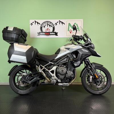 Triumph Tiger 1200 GT Pro (2022 - 23) usata