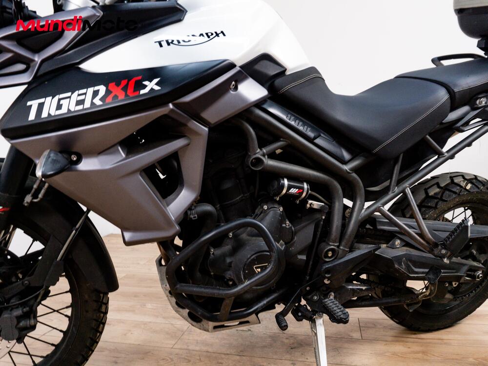 Triumph Tiger 800 XCx (2017 - 18) (9)