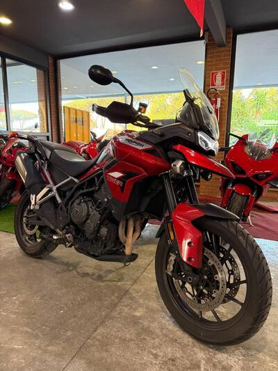 Triumph Tiger 900 GT Pro (2020 - 23) usata