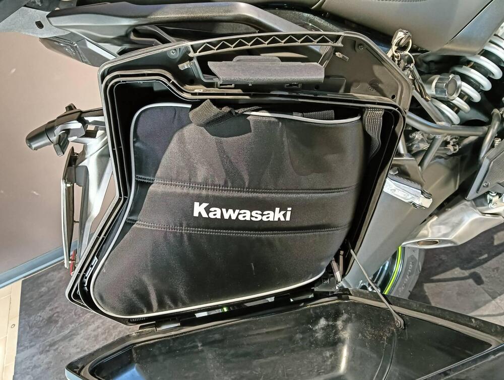 Kawasaki Versys 650 Grand Tourer (2017 - 20) (6)