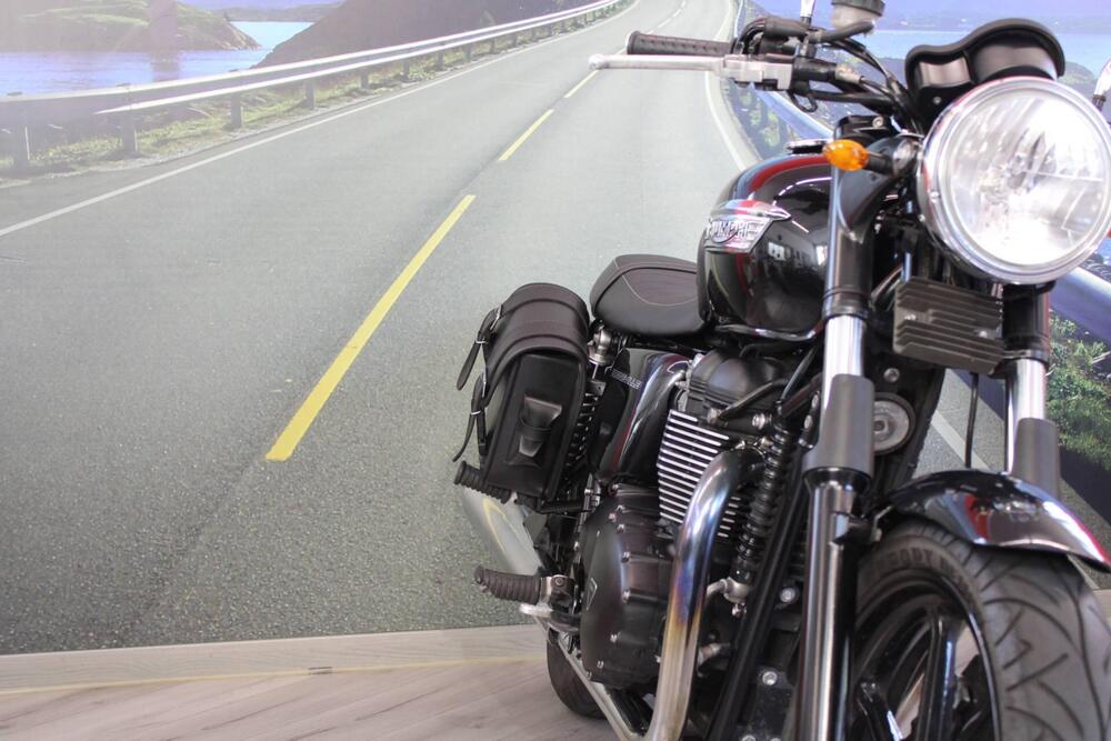 Triumph Bonneville T100 (2008 - 16) (10)