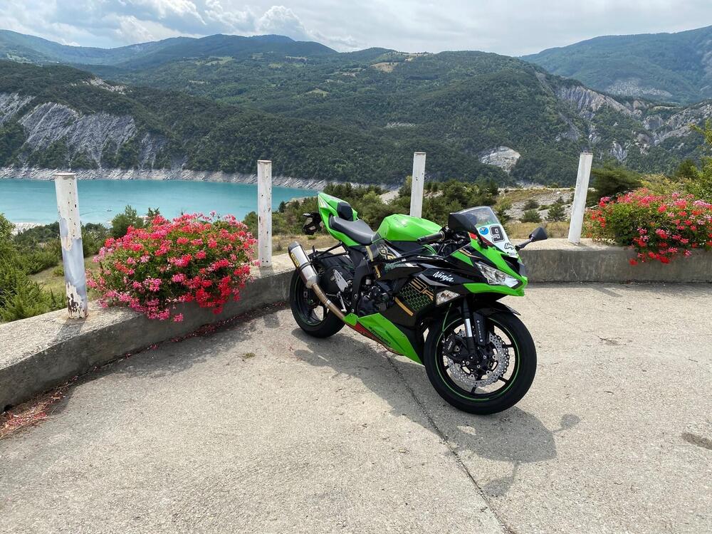 Kawasaki Ninja 636 ZX-6R KRT (2019 - 20) (7)