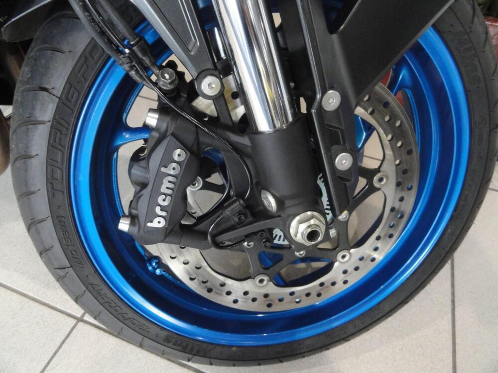 Suzuki GSX-S1000GX Touring (2024 - 25) (10)