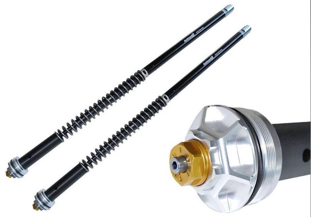 Triumph Speed Twin 900 (2023 - 24) (11)