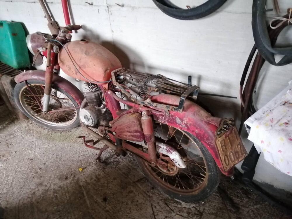 Benelli Leoncino (2)