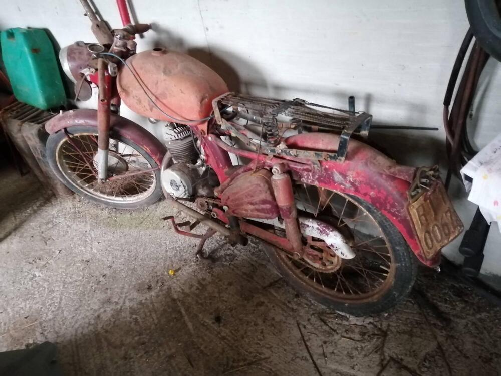 Benelli Leoncino (3)