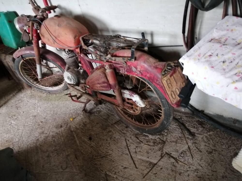 Benelli Leoncino (4)