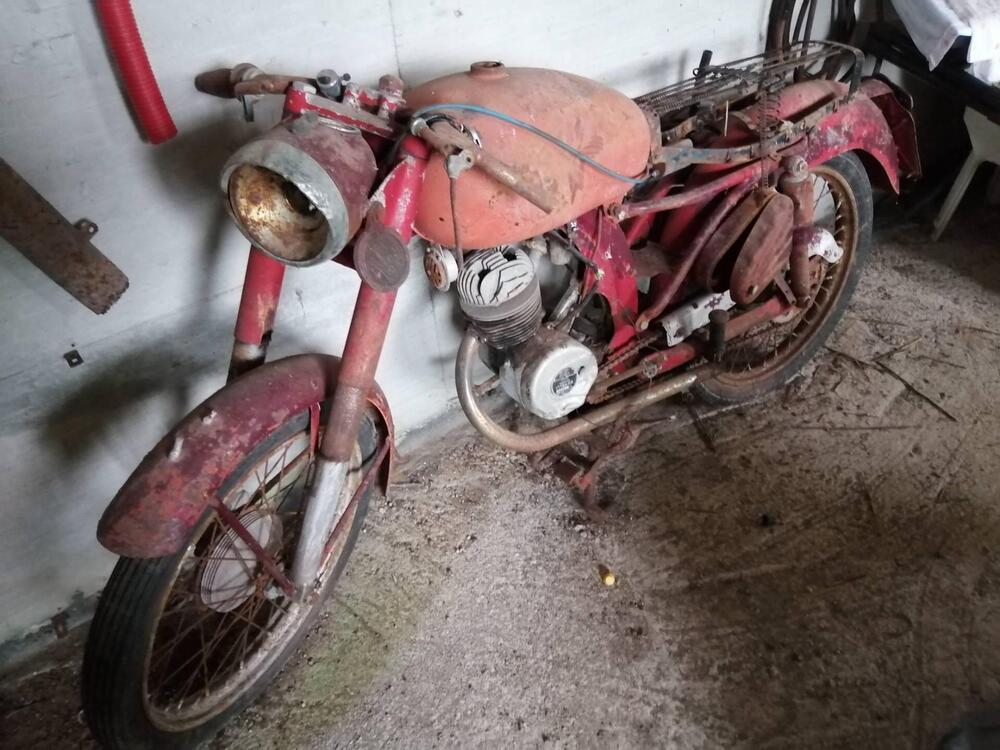 Benelli Leoncino (5)