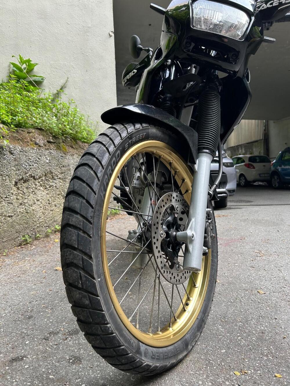 Honda Dominator 650 (4)