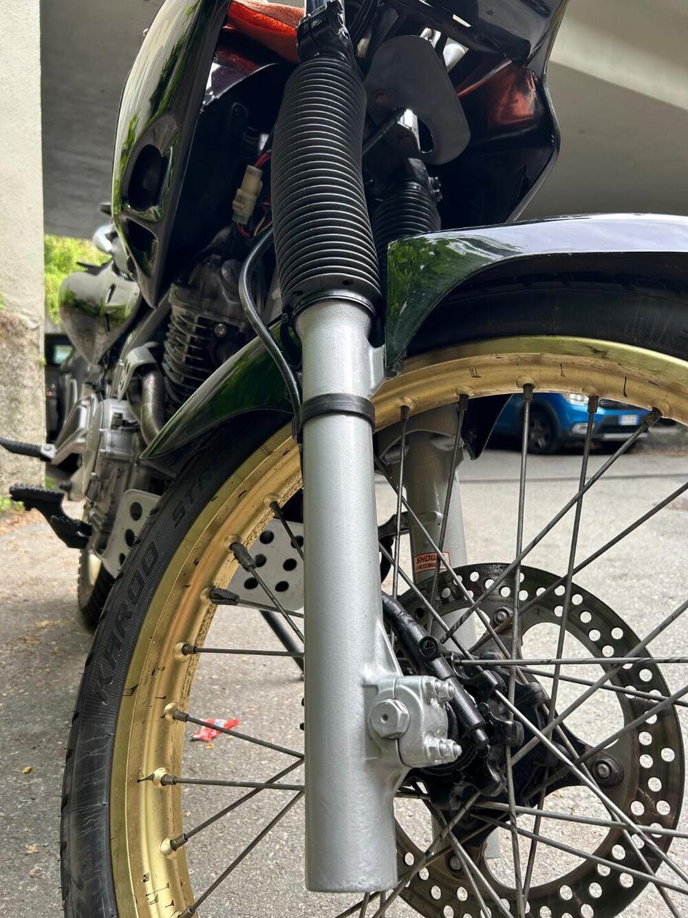 Honda Dominator 650 (5)