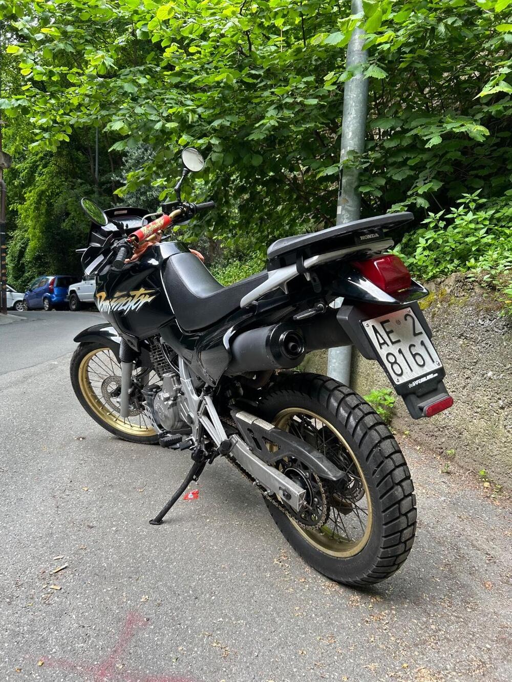 Honda Dominator 650 (8)