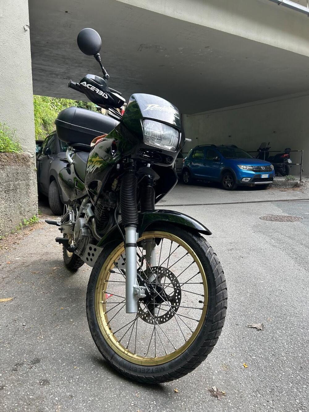Honda Dominator 650 (12)