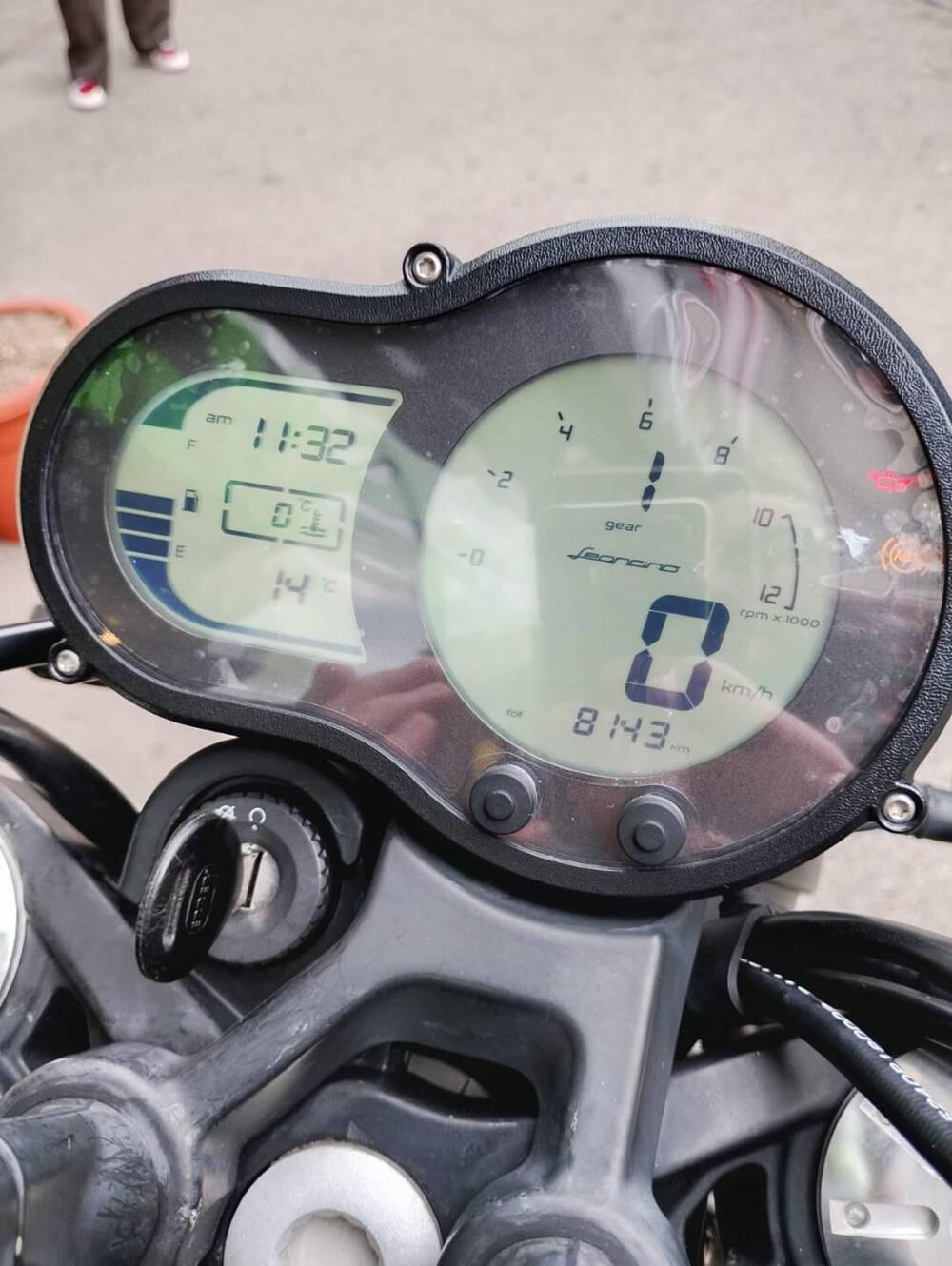 Benelli Leoncino 500 (2021 - 25) (4)