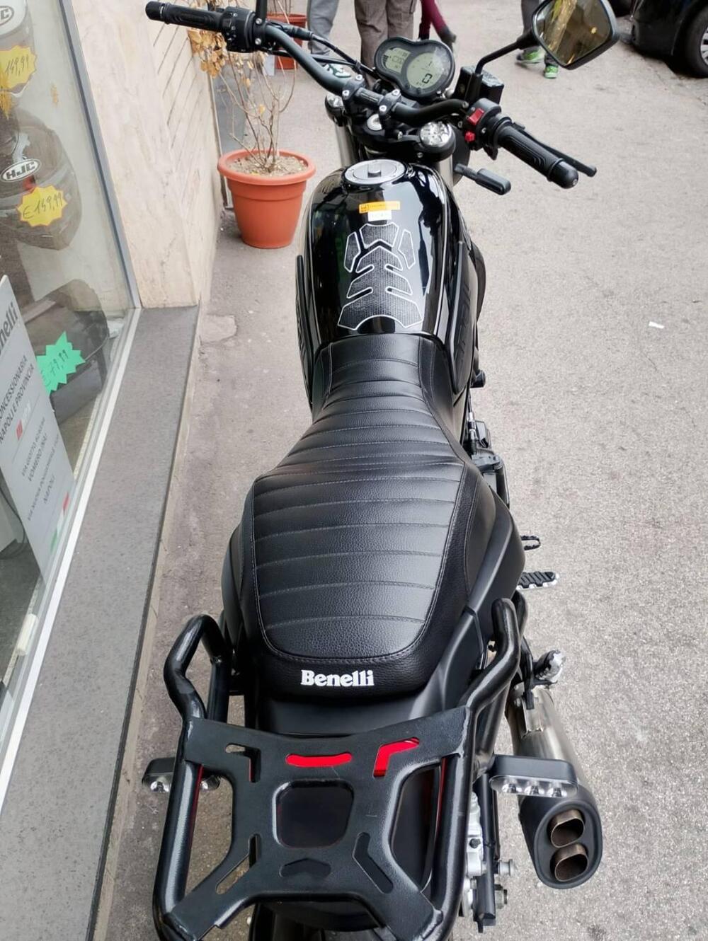 Benelli Leoncino 500 (2021 - 25) (6)