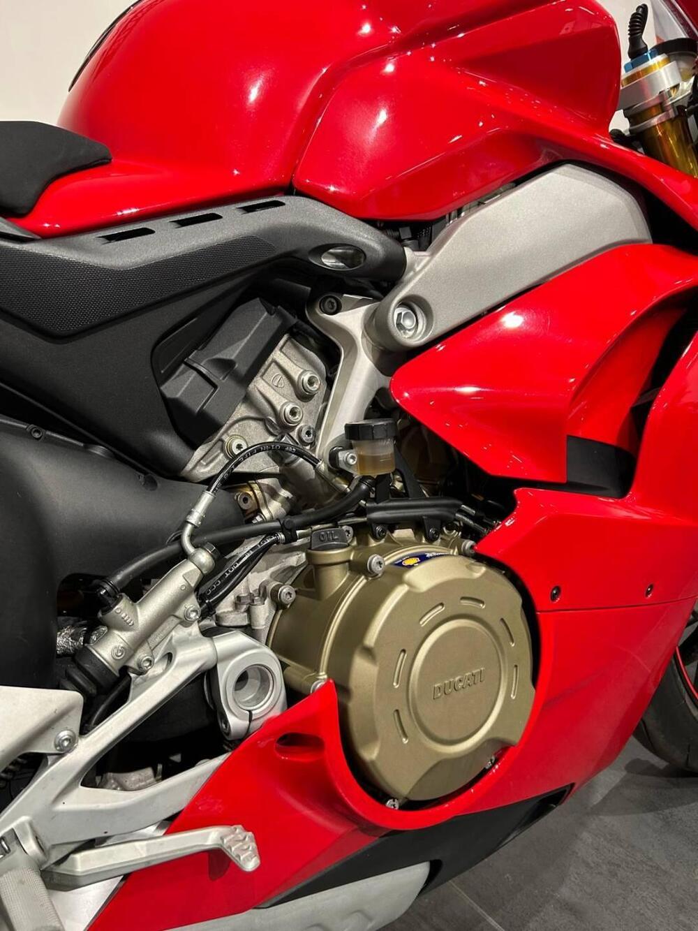 Ducati Panigale V4 1100 (2018 - 19) (15)
