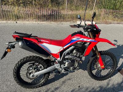 Honda CRF 300 L (2021 - 24) usata