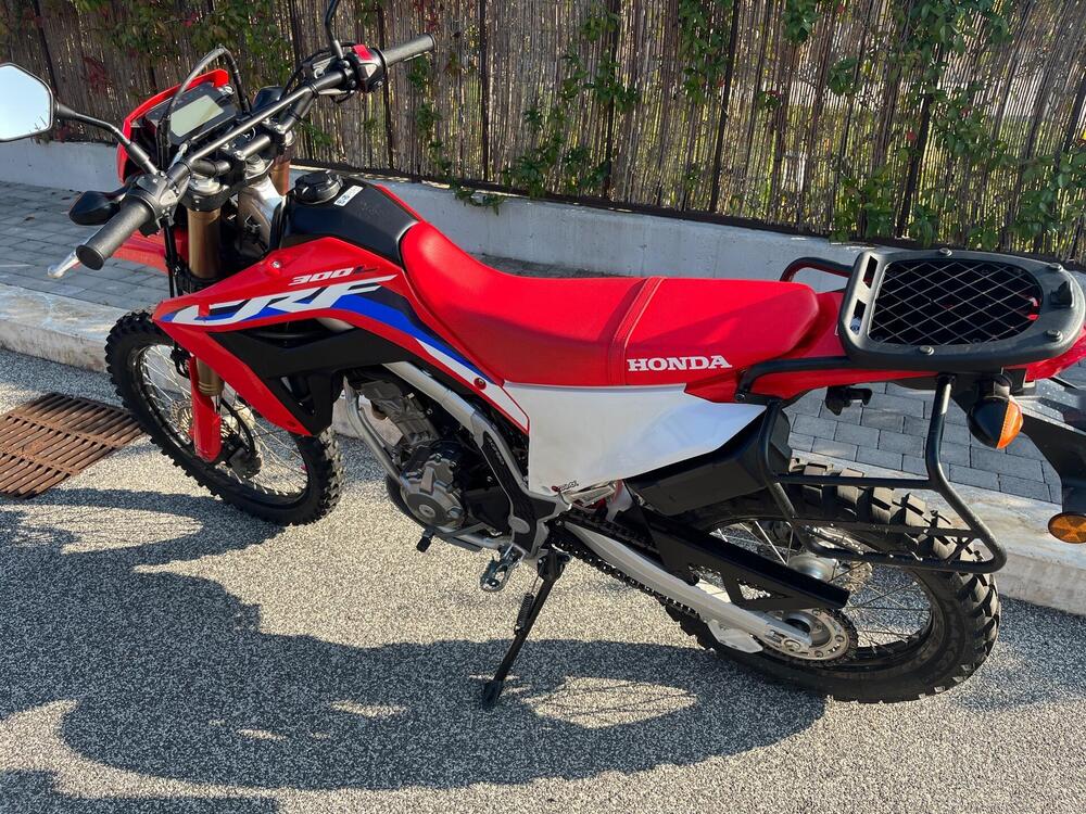 Honda CRF 300 L (2021 - 24) (2)