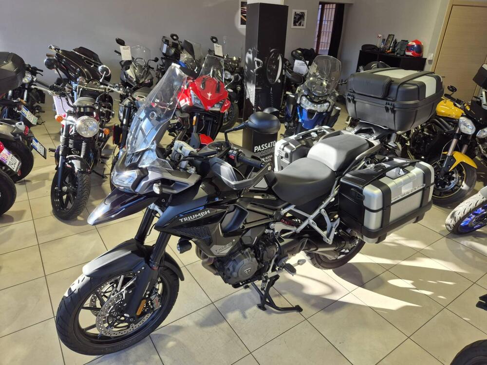Triumph Tiger 1200 GT Pro (2024 - 25) (5)