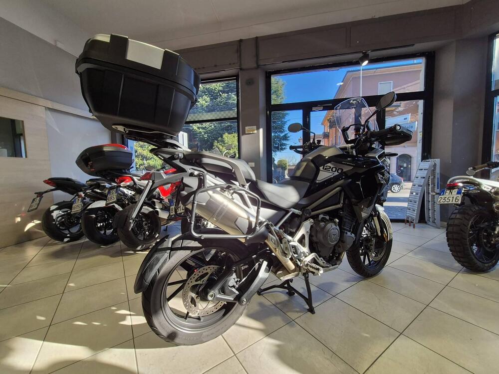 Triumph Tiger 1200 GT Pro (2024 - 25) (3)