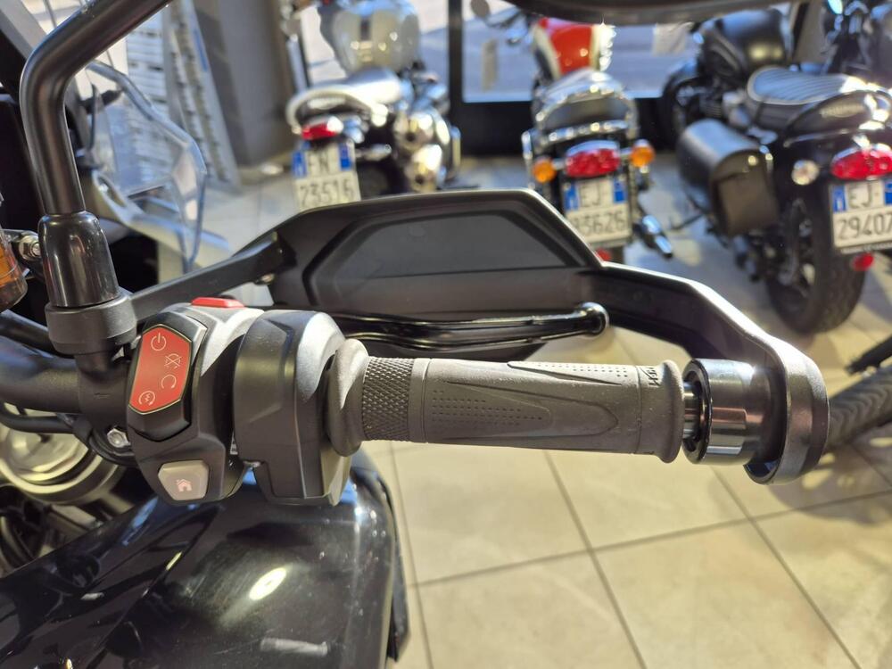 Triumph Tiger 1200 GT Pro (2024 - 25) (10)