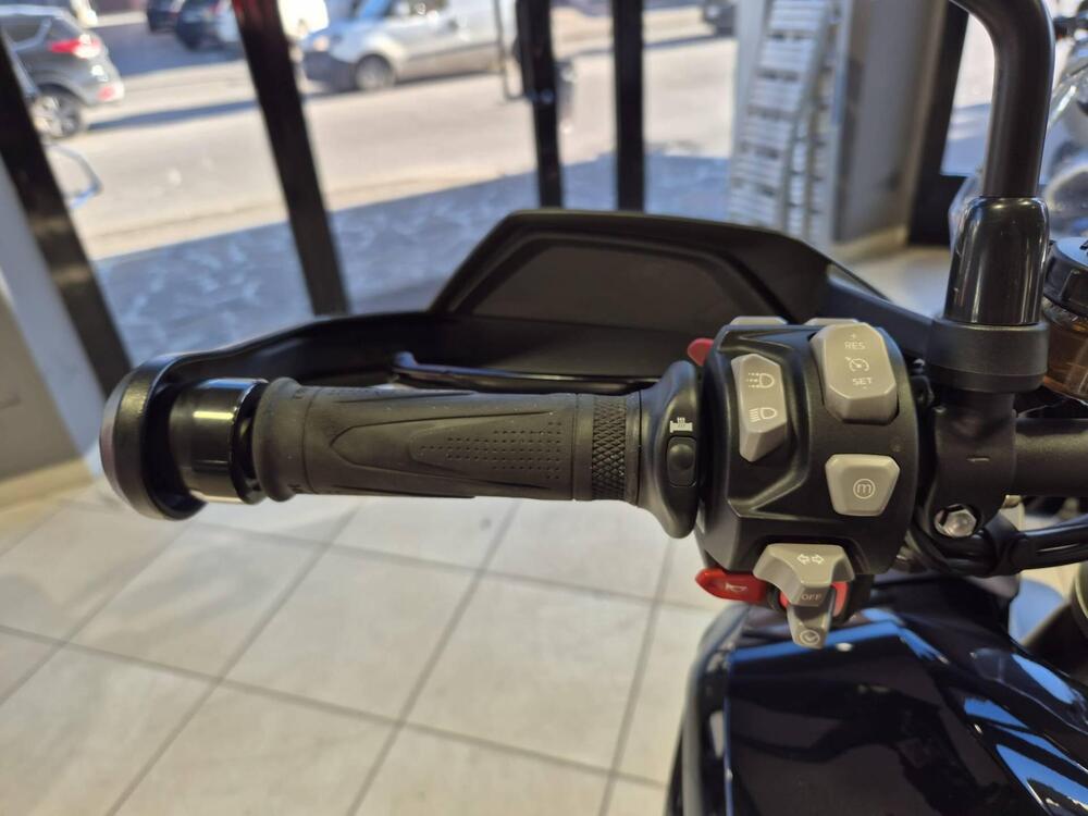 Triumph Tiger 1200 GT Pro (2024 - 25) (9)