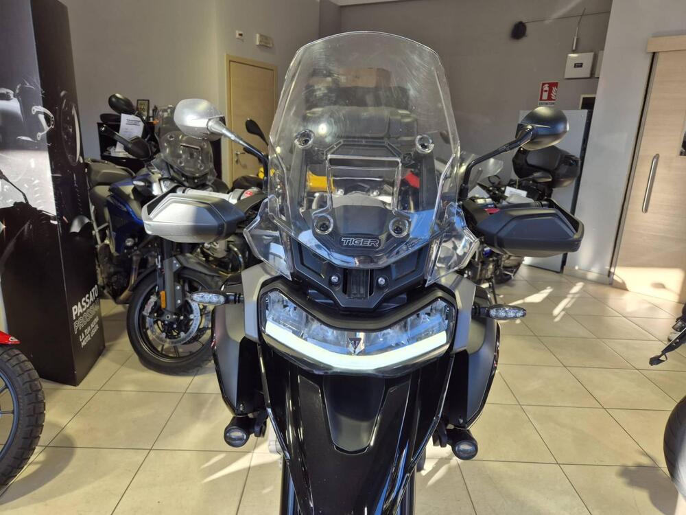 Triumph Tiger 1200 GT Pro (2024 - 25) (11)