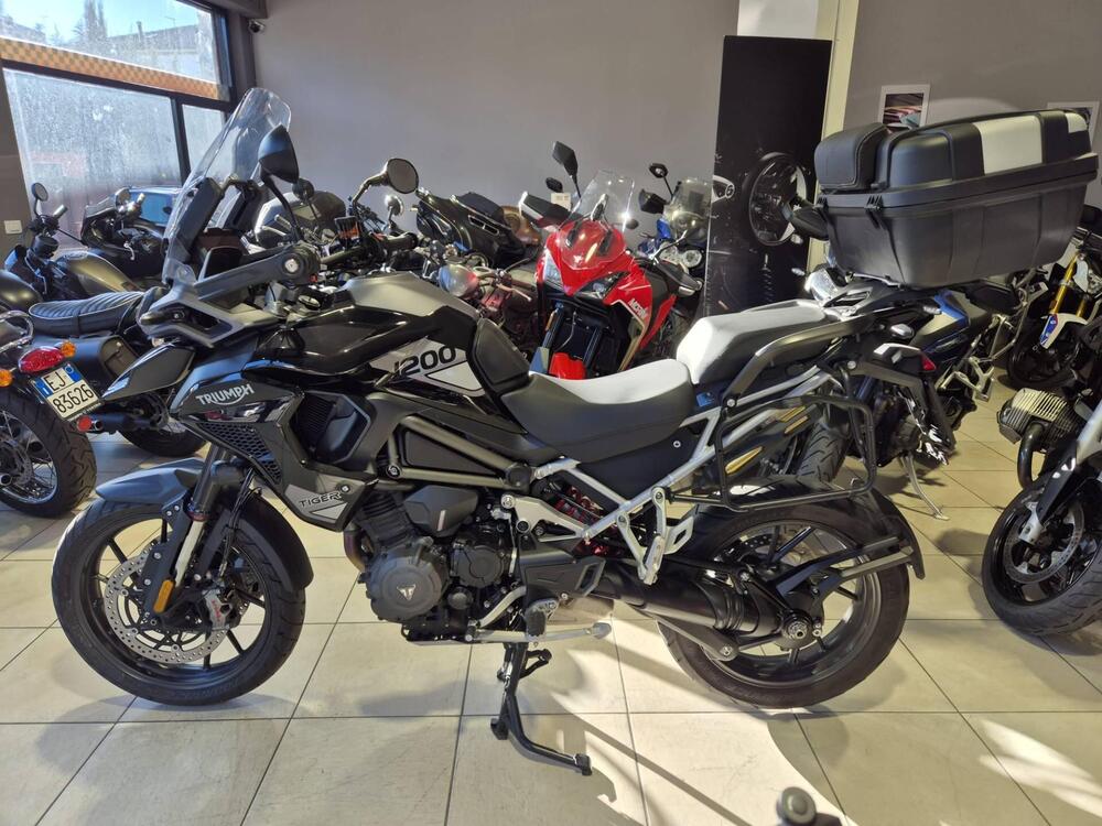 Triumph Tiger 1200 GT Pro (2024 - 25) (6)