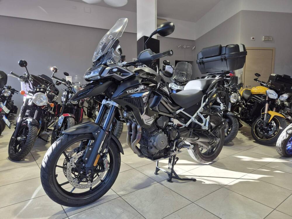 Triumph Tiger 1200 GT Pro (2024 - 25) (8)