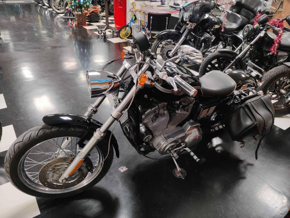 Harley-Davidson 883 Custom (2001 - 05) - XL 53C (7)