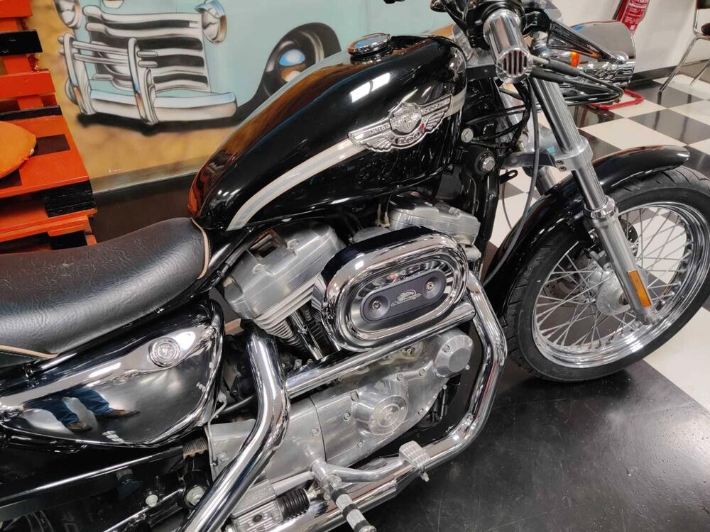 Harley-Davidson 883 Custom (2001 - 05) - XL 53C (10)