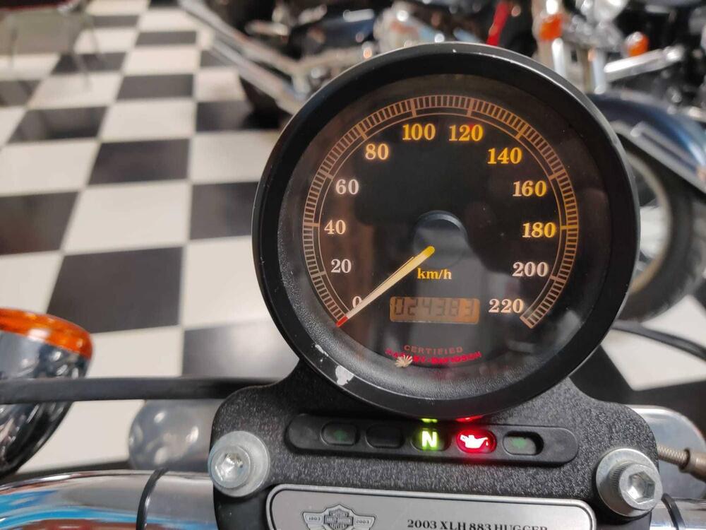 Harley-Davidson 883 Custom (2001 - 05) - XL 53C (11)