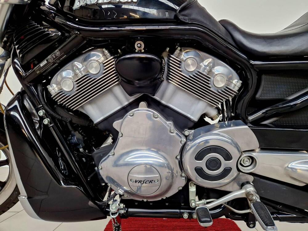 Harley-Davidson 1130 Street Rod (2006 - 07) - VRSCR (16)