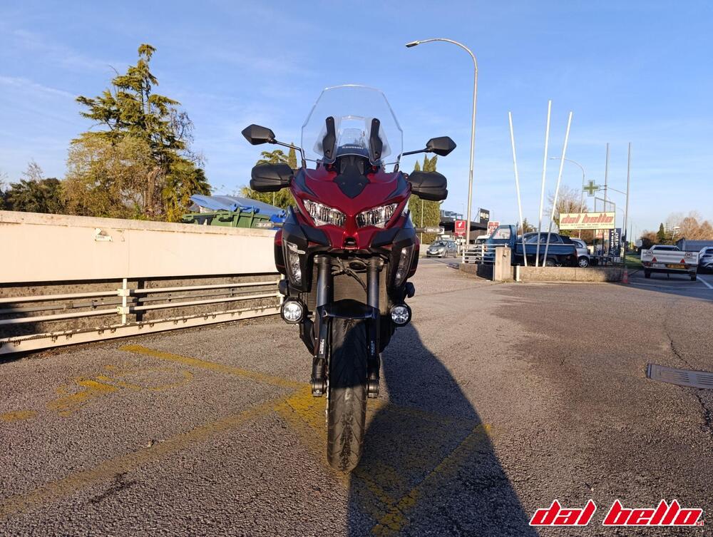 Kawasaki Versys 1000 SE Tourer Plus (2022 - 24) (2)