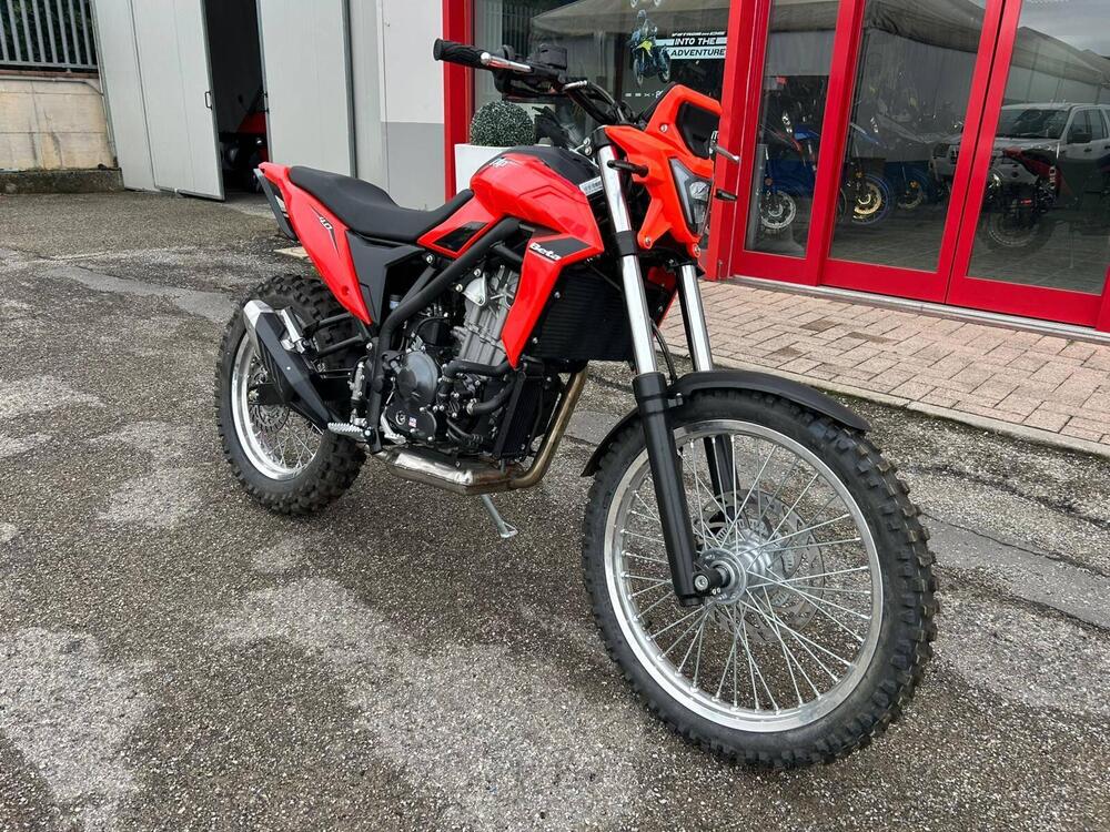 Betamotor Alp 4.0 (2024 - 25) (3)