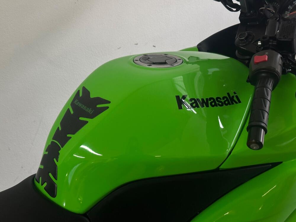 Kawasaki Ninja 250 R (2007 - 13) (2)