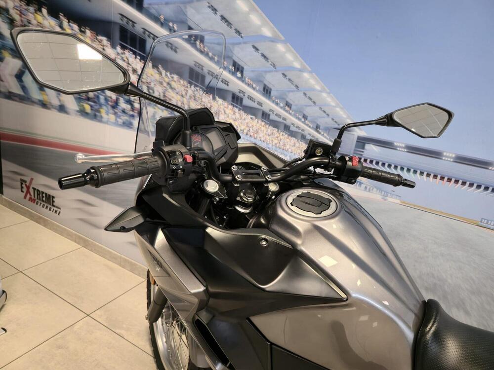 Kawasaki Versys-X 300 (2017 - 20) (18)