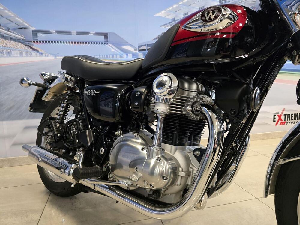 Kawasaki W 800 (2021 - 25) (4)